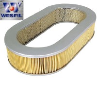 Air Filter WA444